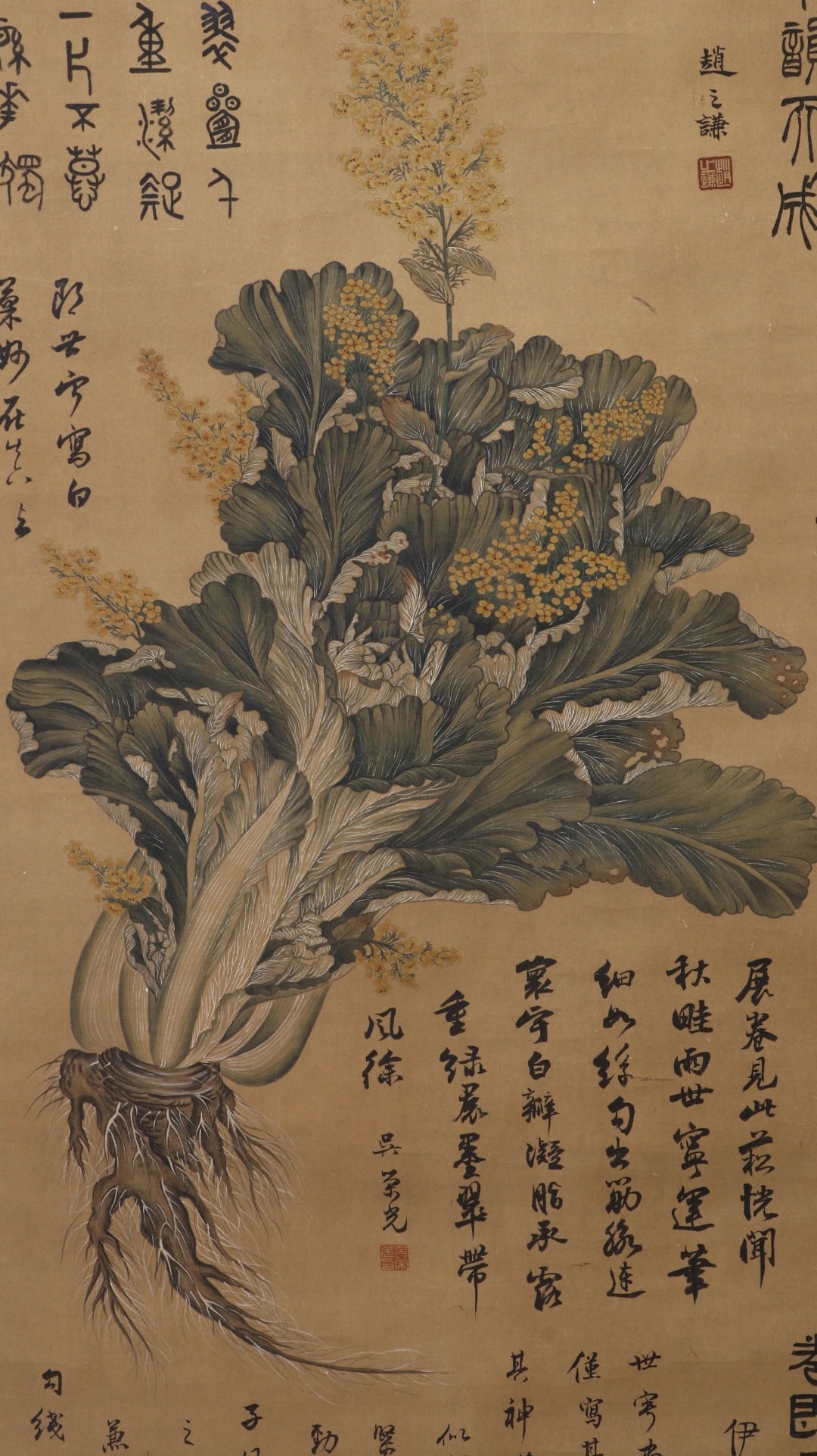 GIUSEPPECASTIGLIONE(LANGSHINING):CABBAGE，郎世宁 - 6