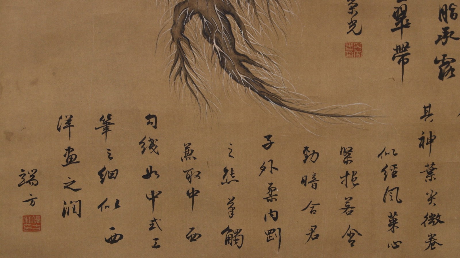 GIUSEPPECASTIGLIONE(LANGSHINING):CABBAGE，郎世宁 - 8