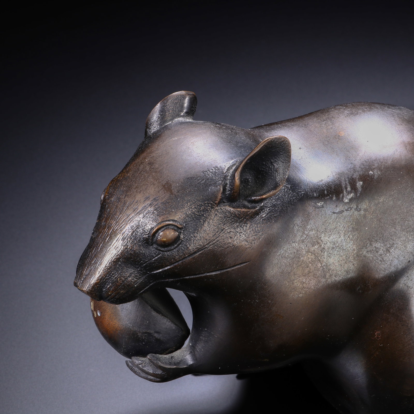 COPPER RAT - 2