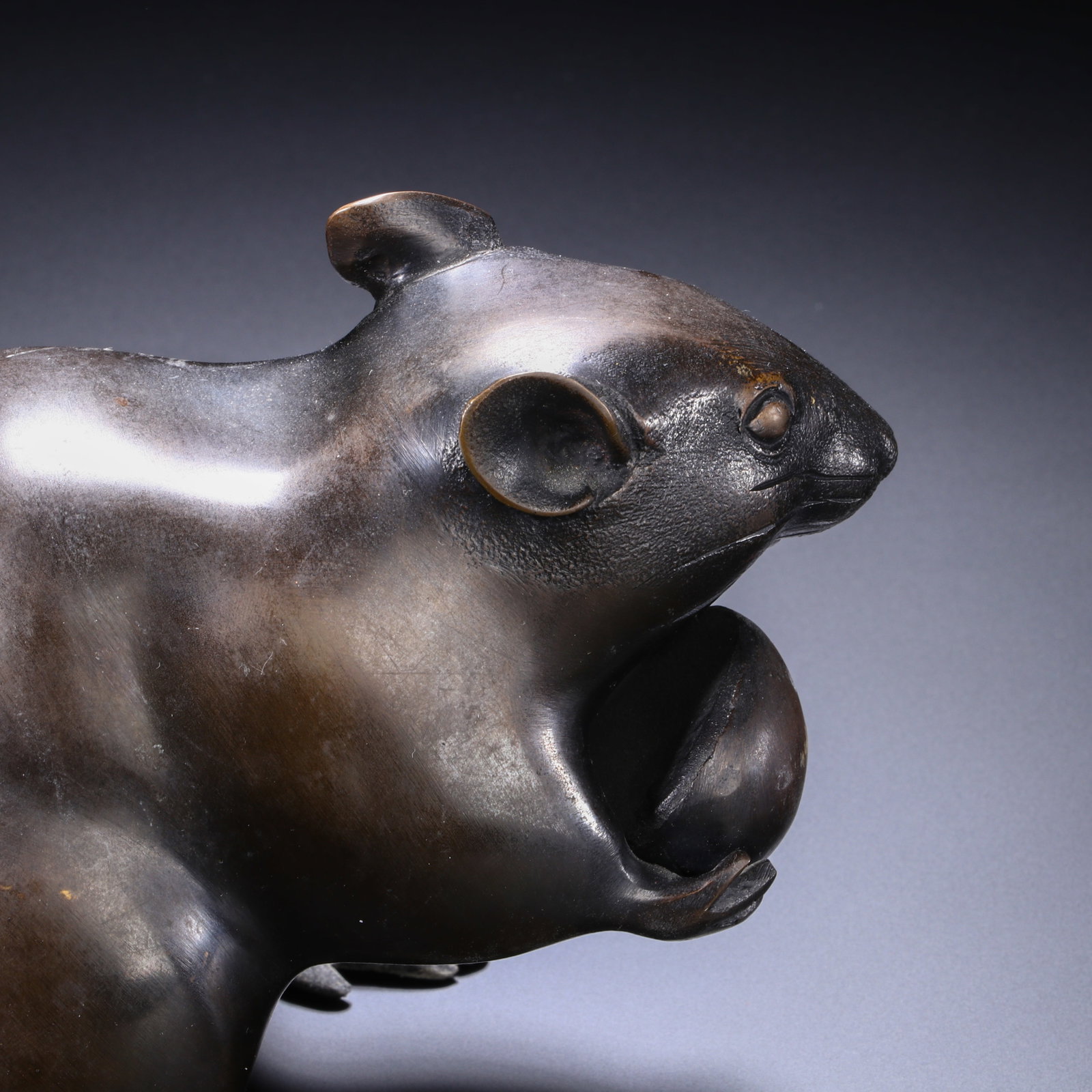 COPPER RAT - 6