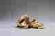 item-128963530=2