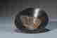 item-129050369=8