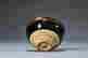item-129050370=6