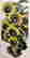 item-129050584=2