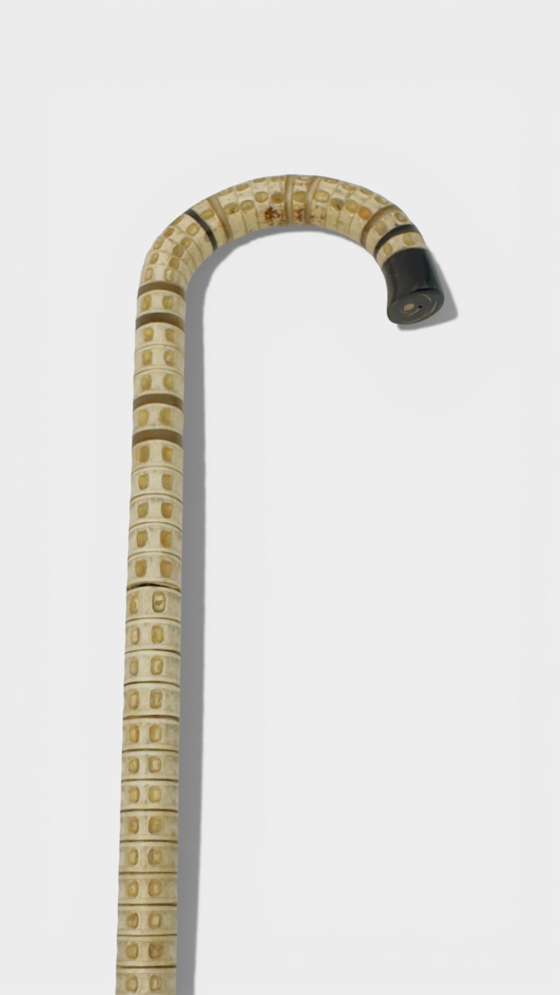 Antique Walking Cane Handle Made from Shark Vertebrae (1 of 8)