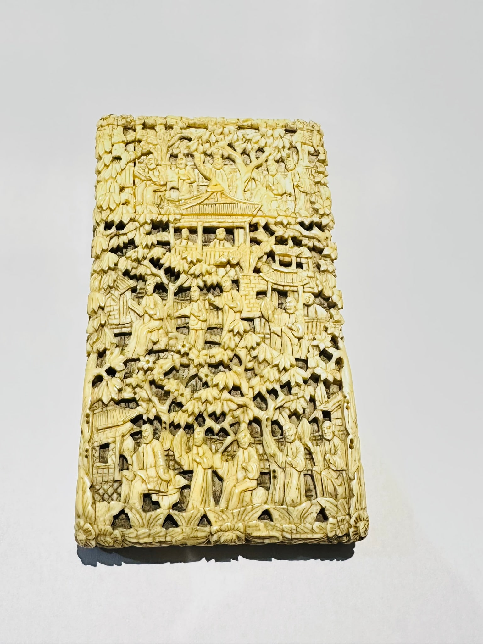 Chinese Openwork Carved Plaque / Card Case, 19th Century (Qing Dynasty) (1 of 5)