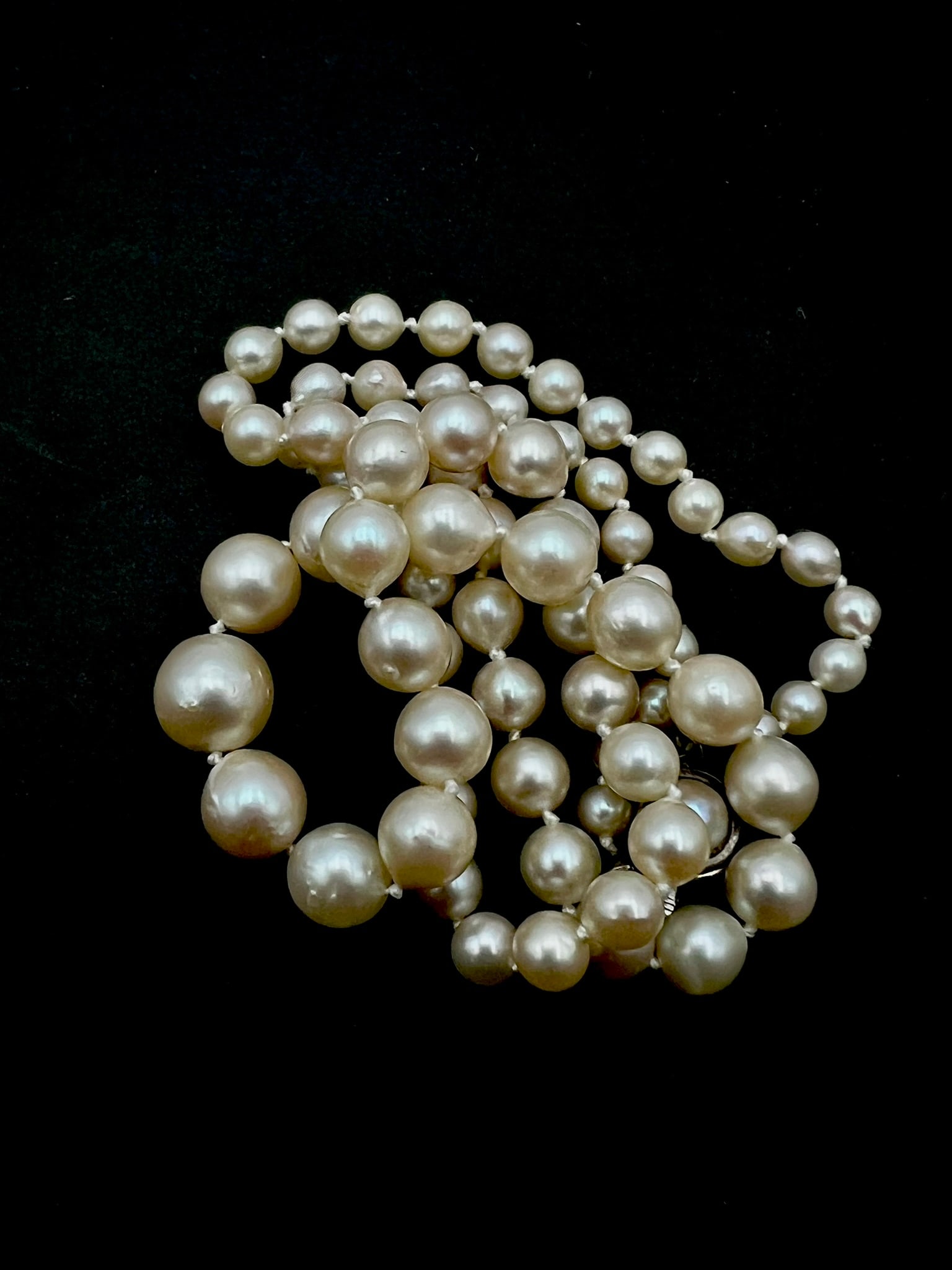 Graduated knotted saltwater pearl strand (1 of 3)