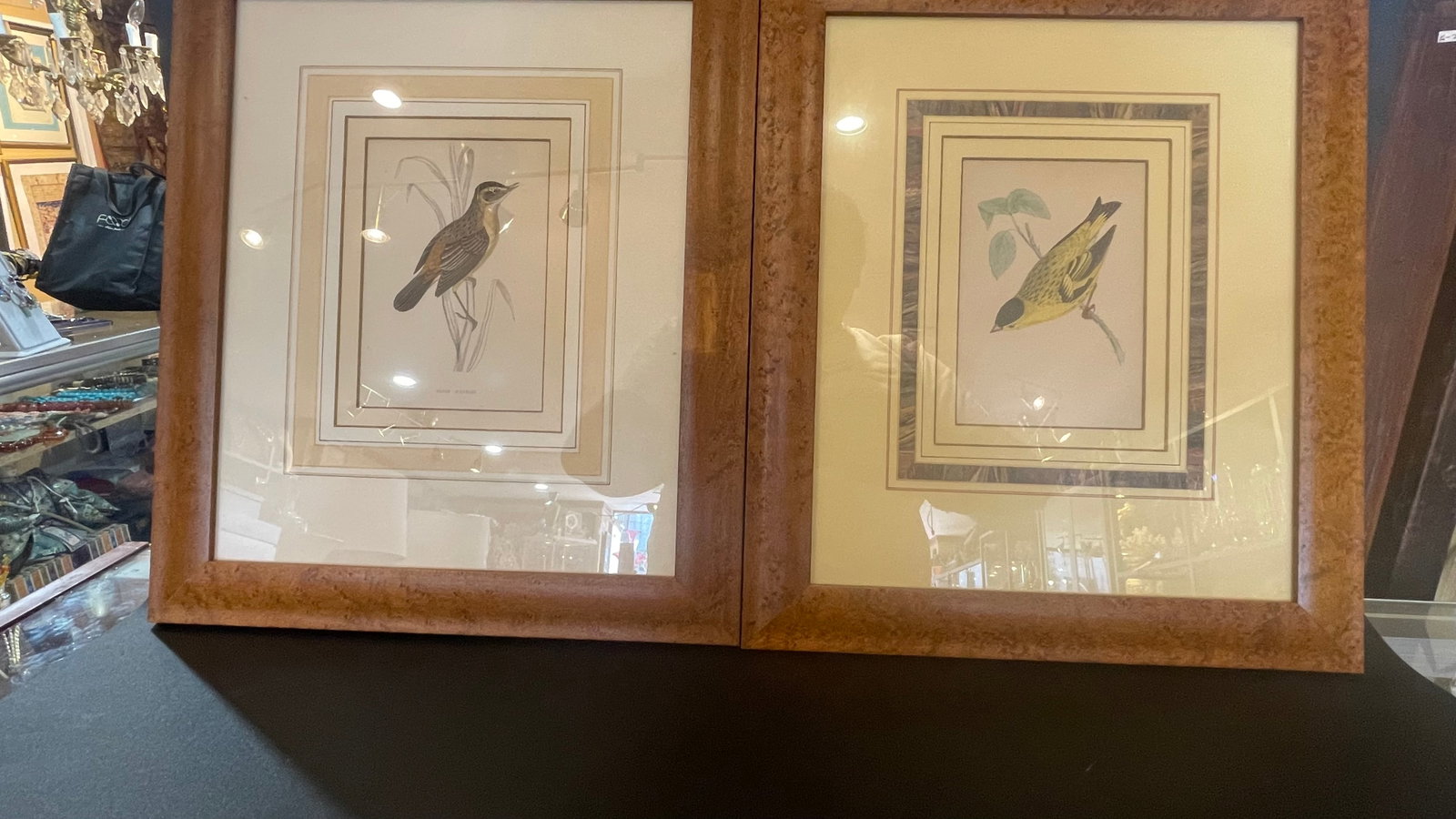 Vintage Framed Ornithological Bird Prints (1 of 4)