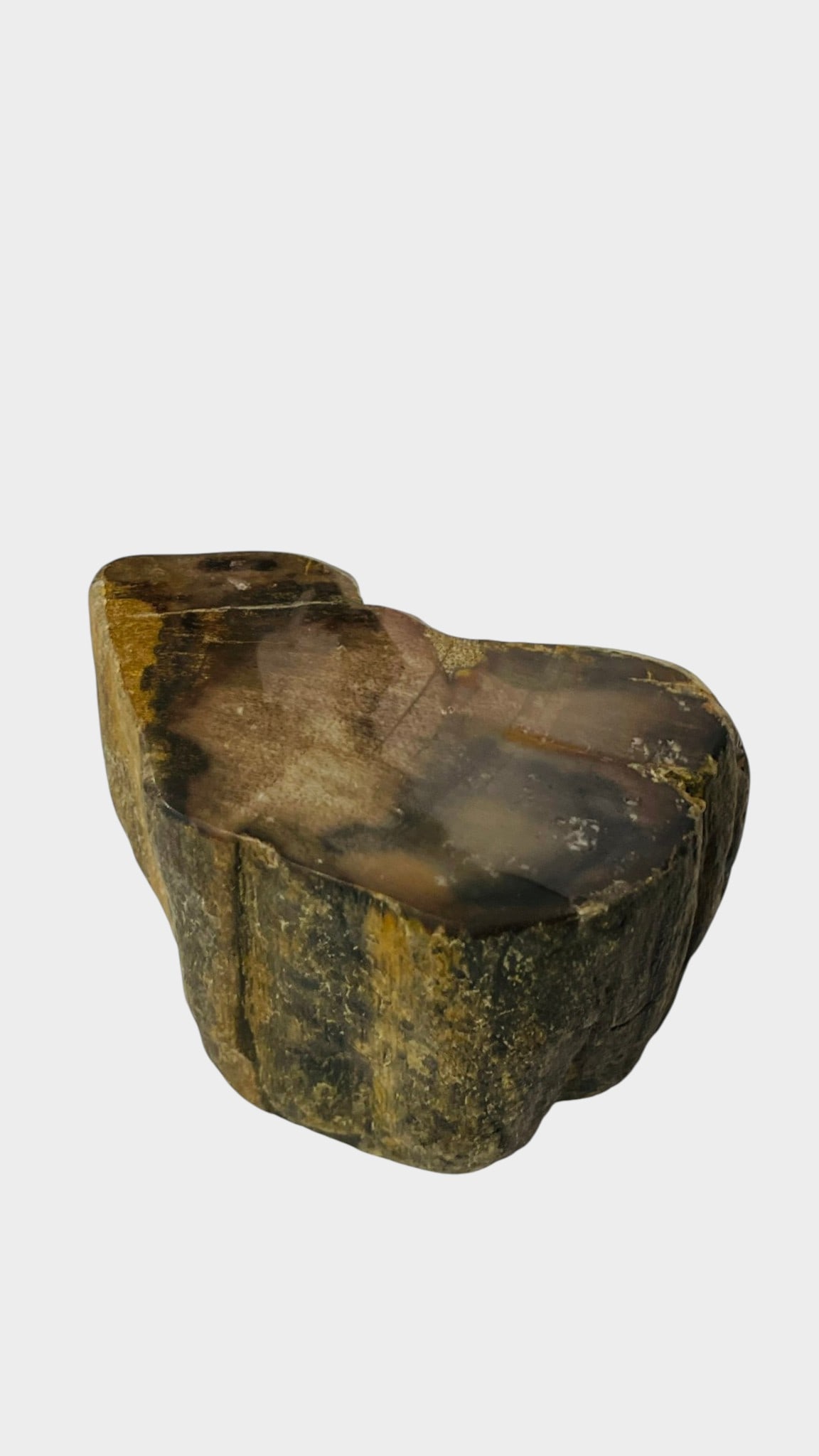 SPECIMEN OF PETRIFIED WOOD A substantial natural specimen of petrified wood of block form, retaining (1 of 6)