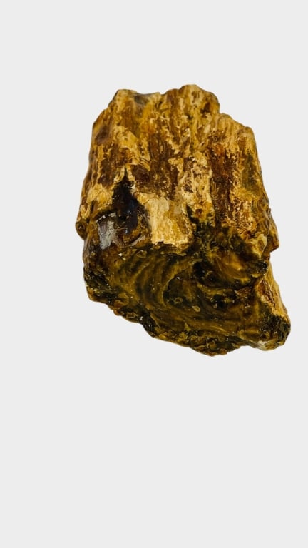 A LARGE NATURAL ROUGH AMBER SPECIMEN A substantial natural amber specimen of irregular form,: A substantial natural amber specimen of irregular form, displaying rich golden honey, cognac and deep brown tones with characteristic layered and organic surface formations. Retaining a largely rough,