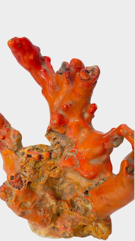 LARGE RED CORAL-FORM NATURAL SPECIMEN A large decorative natural specimen of branching coral-like (1 of 12)