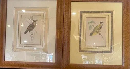 Vintage Framed Ornithological Bird Prints A decorative pair of framed ornithological prints: A decorative pair of framed ornithological prints depicting finely detailed songbirds in their natural habitats. Each print is professionally double-matted and presented in matching burl wood-style fr