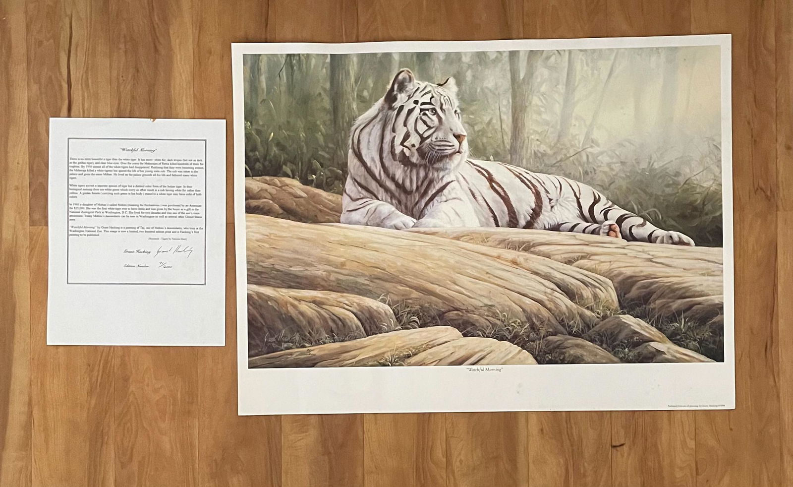White Tiger Signed and Numbered Print from oil painting (1 of 7)