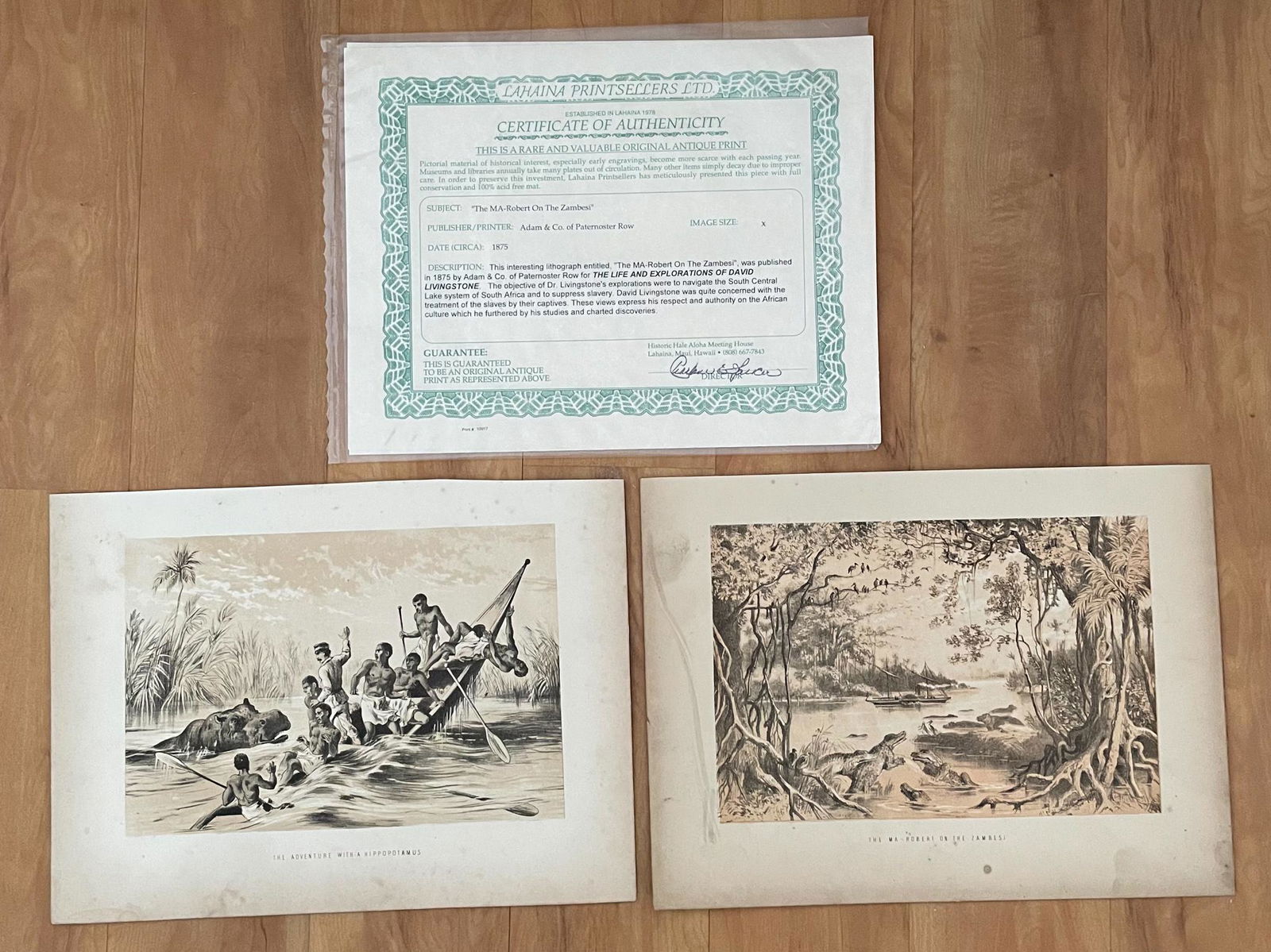 Rare & Valuable Original Antique Print: "The MA-Robert (1 of 5)