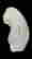 item-124418173=2