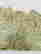 item-133145450=5