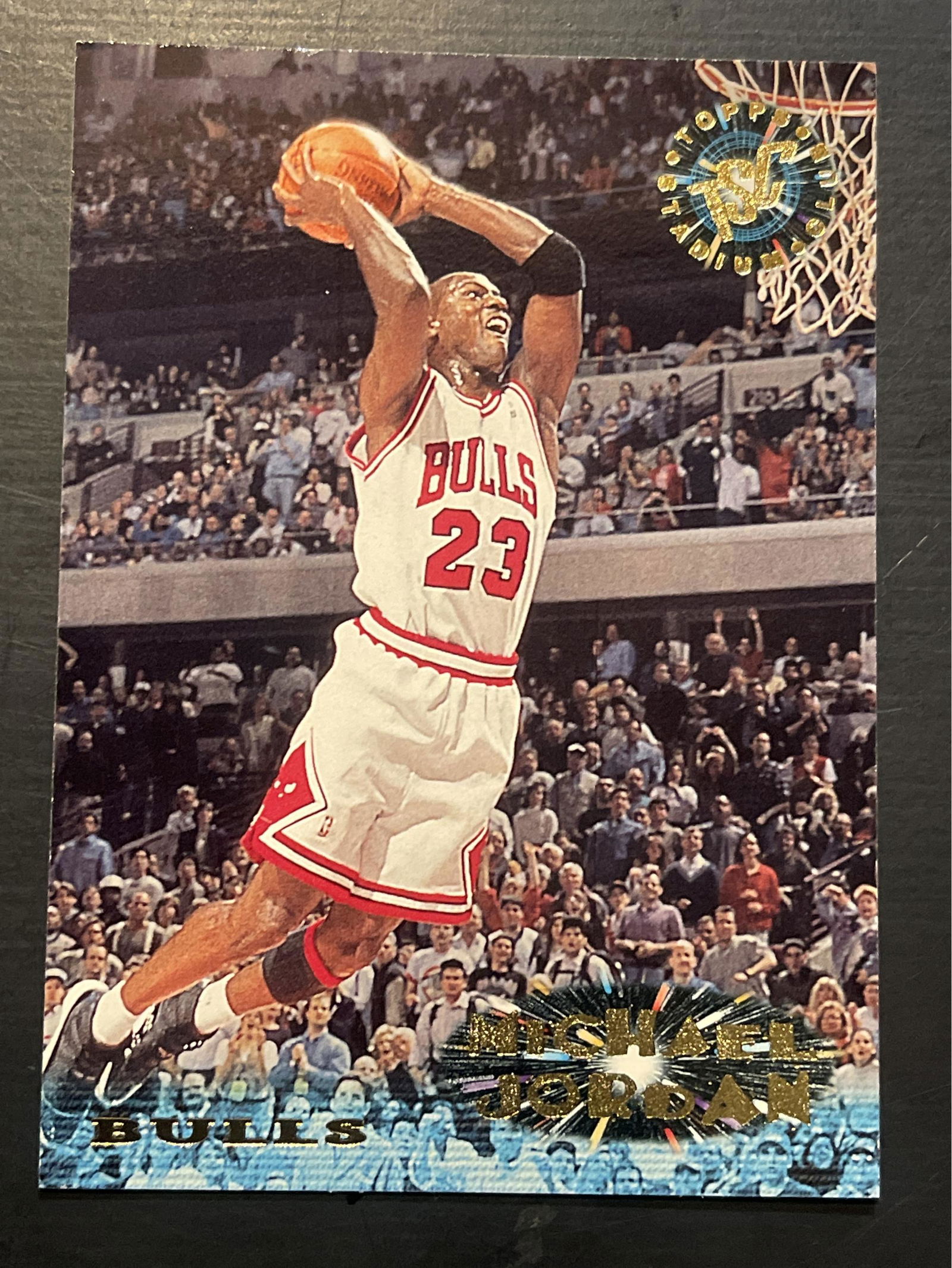 Michael Jordan 1995 Sports Trading Card (1 of 1)