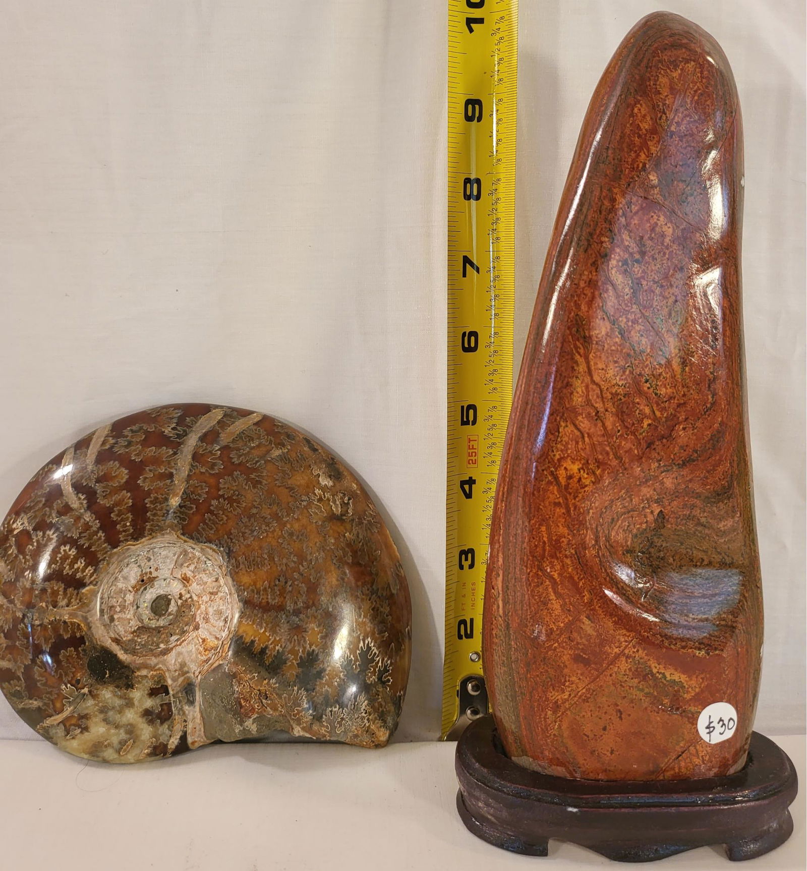 Rock Ans Fossil: Rock Ans Fossil