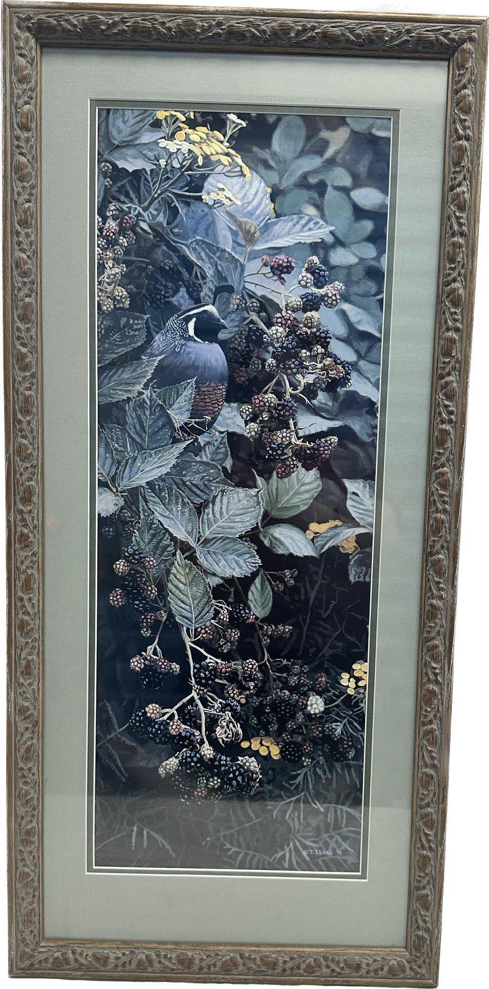 Bird Painting Print By T. Isaac 93, Framed, 32.5x15.5: Bird Painting Print By T. Isaac 93, Framed, 32.5x15.5