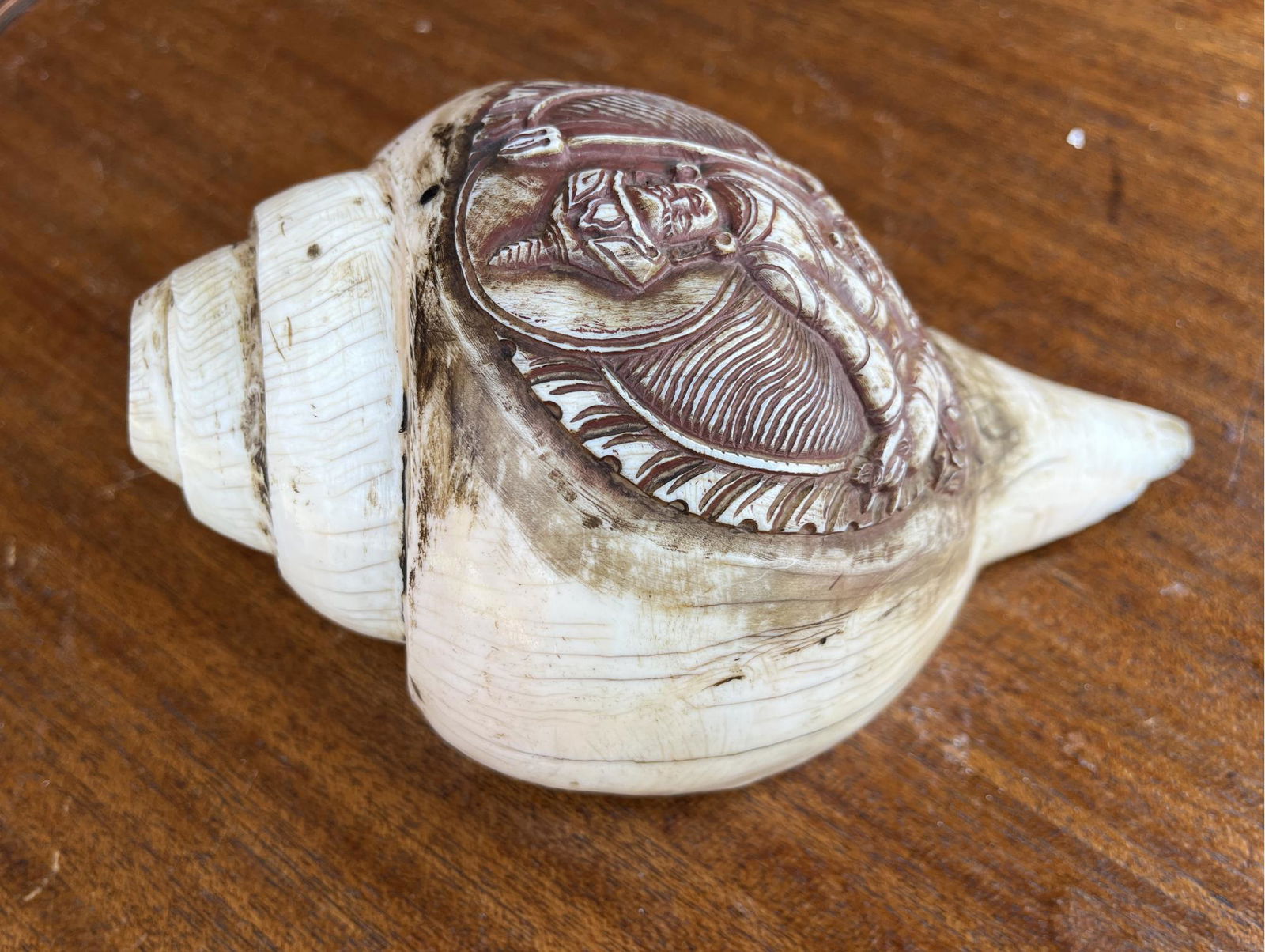 Hand Etched Natural Conch Shell, Used For Ritual Offerings - 9in Long, 5 In Tall (1 of 4)