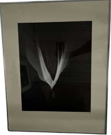 Dan Ranalli Framed Art - 22.25Lx28W (1 of 5)