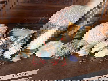 Collection Of Various Seashells And Related Crafts