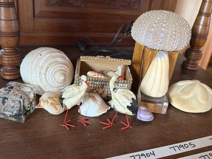 Collection Of Various Seashells And Related Crafts: Collection Of Various Seashells And Related Crafts