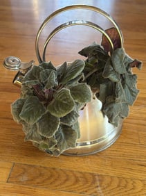 Stainless Steel Tea Kettle Planter With African Violets