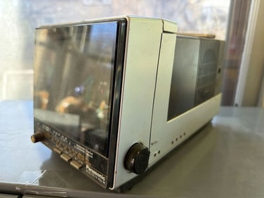 Panasonic Portable Black And White Television And Radio Combo, Model: TRG-513T