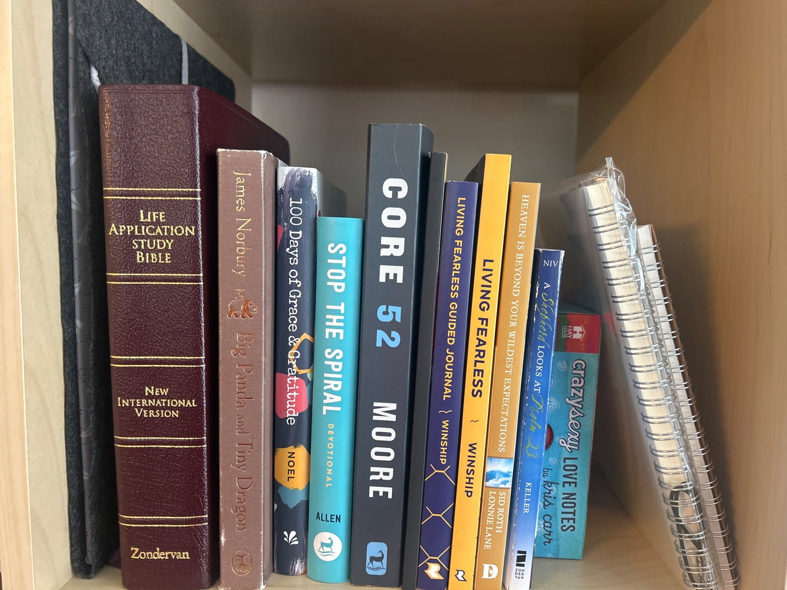 Inspirational Books and Notebooks: 10 inspirational and faith-based books alongside two spiral-bound notebooks. Titles include 'Life Application Study Bible,' '100 Days of Grace and Glory,' 'Core 52,' 'Stop the Spiral,' and others by v