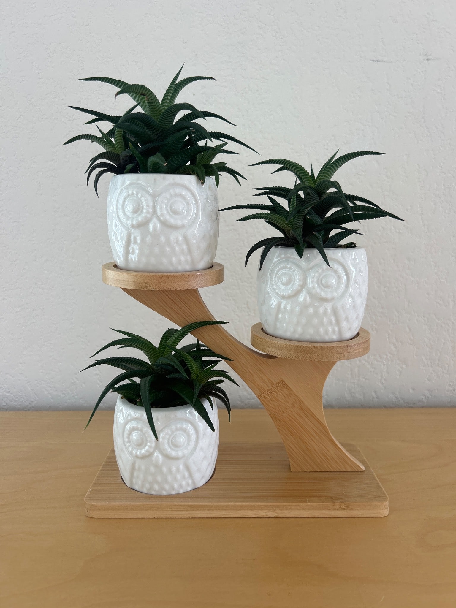 Wooden Stand With Three Ceramic Planters Featuring Owl Design (1 of 3)
