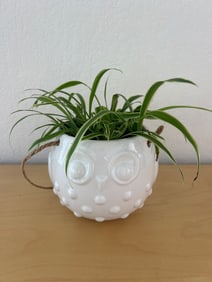 Narco White Ceramic Owl Hanging Planter With Jute Hanger