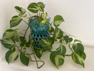Vintage Turquoise Ceramic Owl Planter with Handle and Leafy Plant