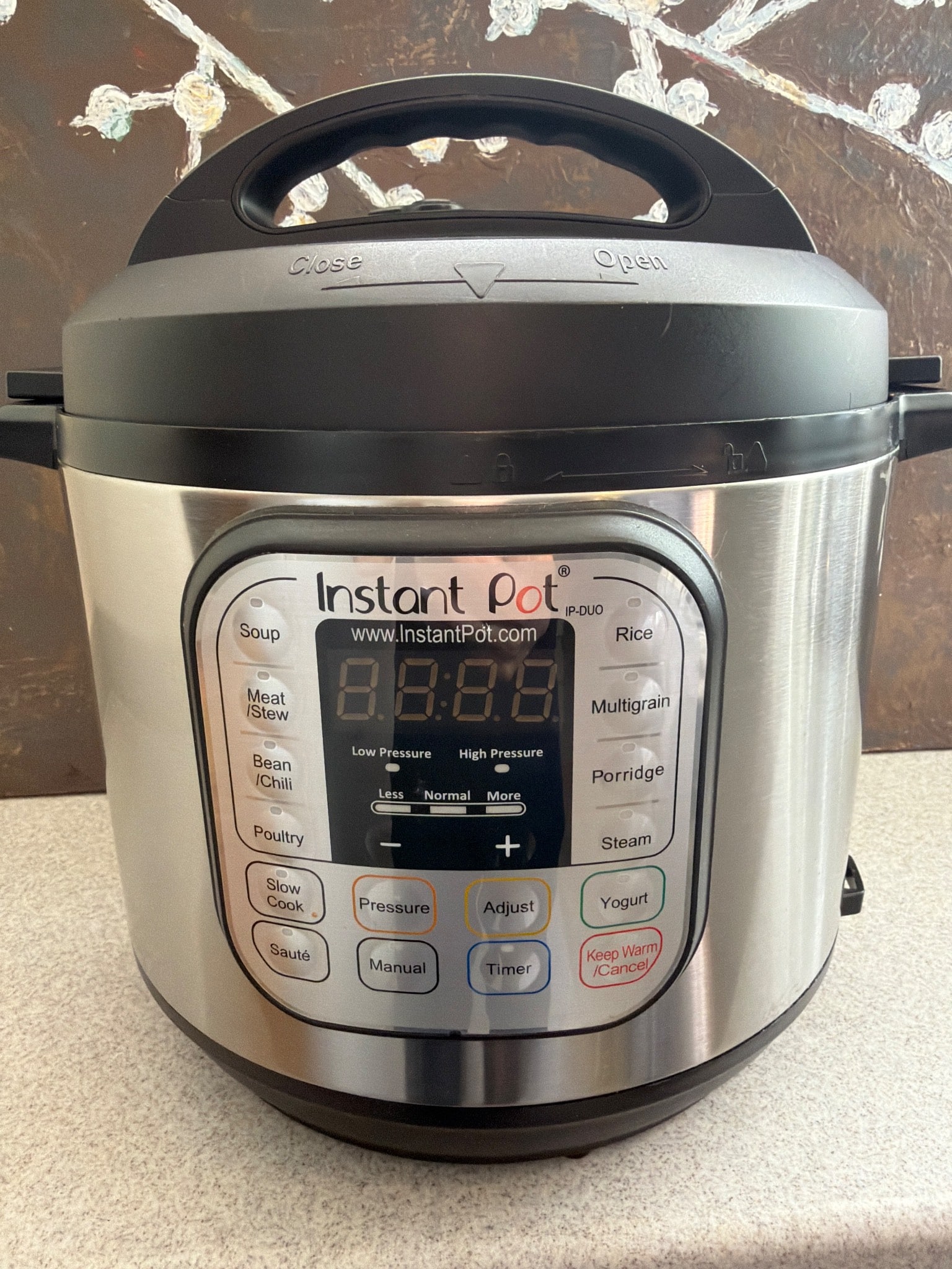 Instant Pot Duo 7-in-1 Electric Pressure Cooker, Stainless Steel, 6-Quart (1 of 1)