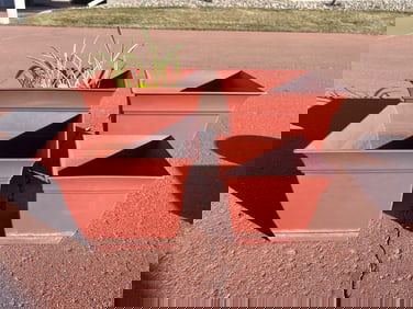 Four Red Square Plastic Planters