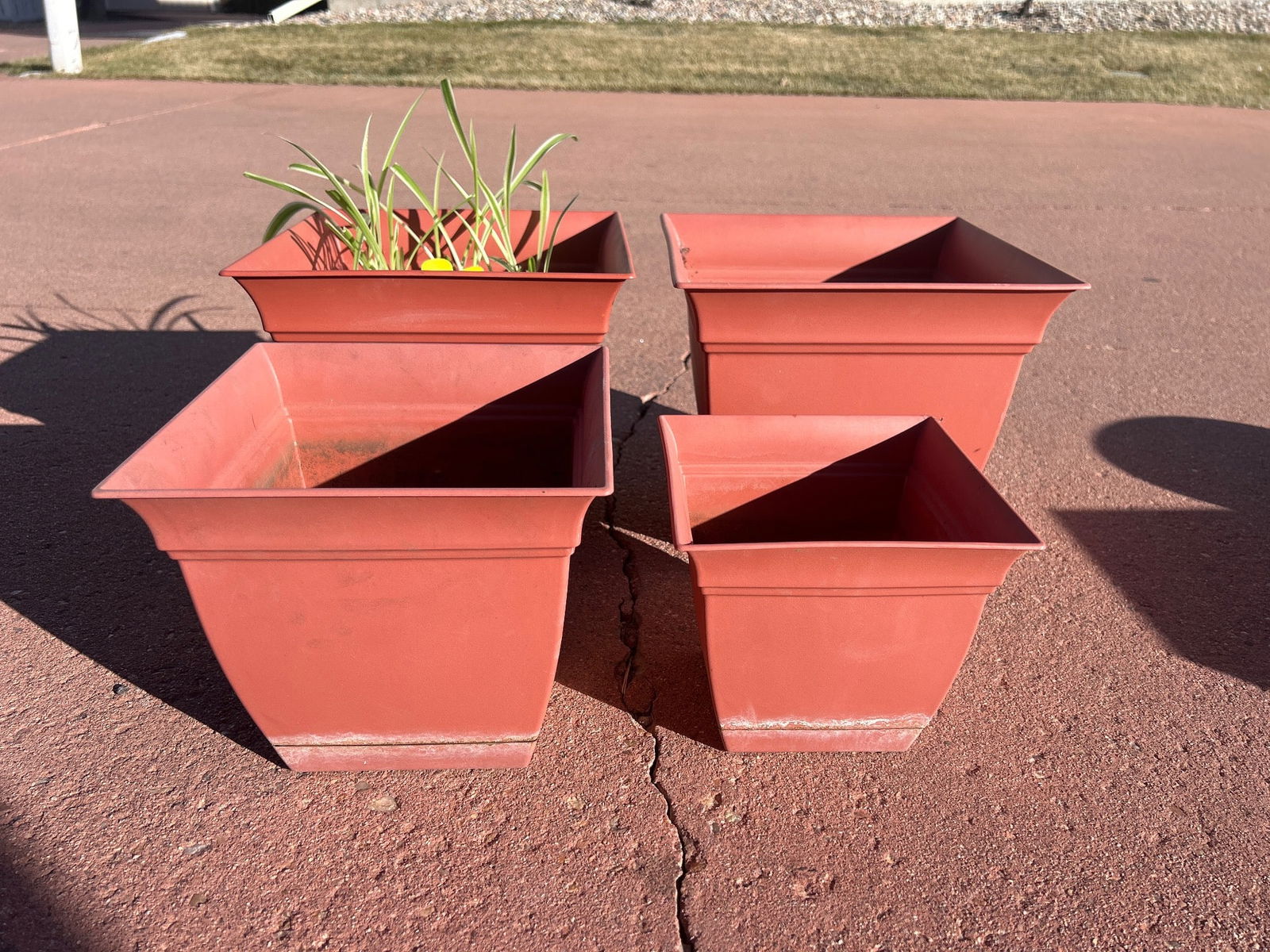 Four Red Square Plastic Planters: Four red square plastic planters featuring tapered shapes and flared edges. One planter contains visible plant growth. Suitable for both indoor and outdoor use. All items show signs of general wear. D