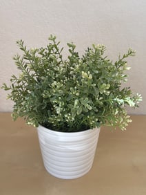 Artificial Potted Plant with White Ribbed Ceramic Planter