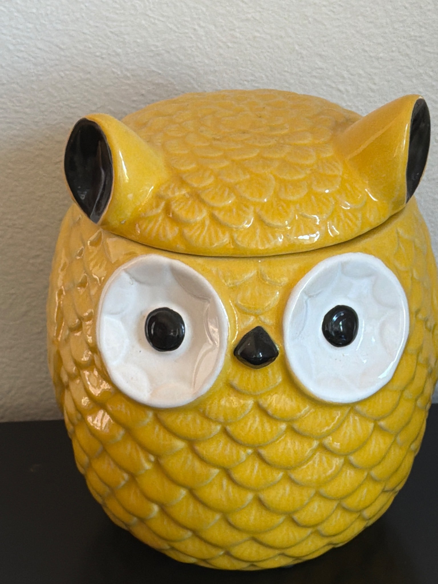 Yellow Owl-Shaped Ceramic Decorative Container: Yellow owl-shaped ceramic container featuring a textured design resembling feathers and black and white accents on the eyes. Lid is removable, and base is marked with 'Not for Food Use.' Suitable for