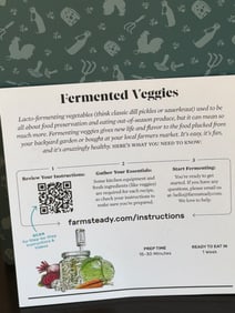 Fermentation Kit for Vegetables by Farmsteady