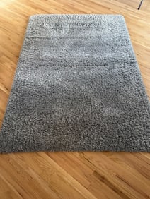 Gray Shag Area Rug with Plush Pile