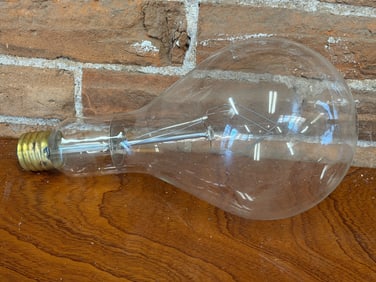 Large Clear Edison-Style Light Bulb with Brass Base