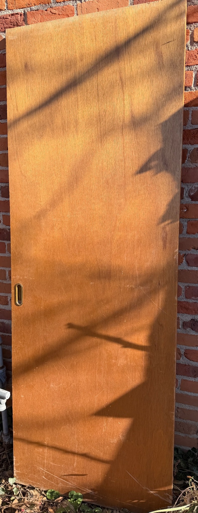 Wooden Door Panel with Woodgrain Finish: Wooden door panel featuring a prominent woodgrain finish on both sides. Made of solid wood, the door includes a built-in handle on one side. Condition appears to be unused or lightly used, with protec