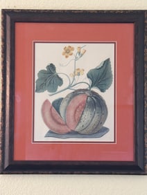 Framed Botanical Print of Melon with Floral Details