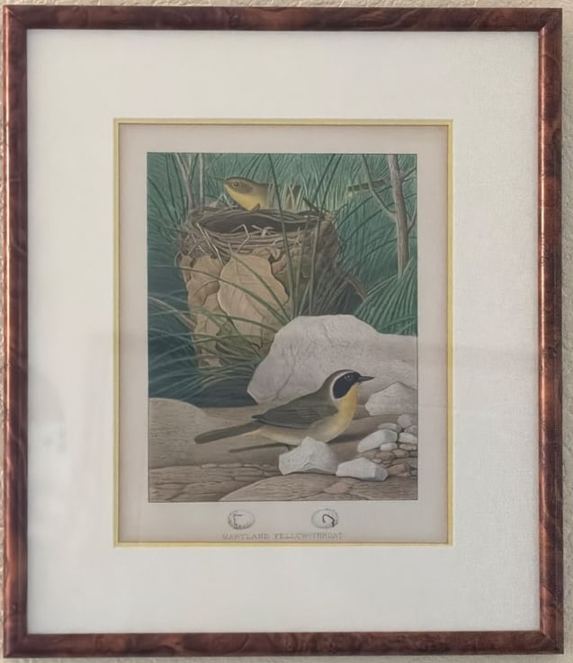 Framed Lithograph Print Titled ‘Maryland Yellow-Throat,’ Approx. 16?? x 13 (1 of 5)