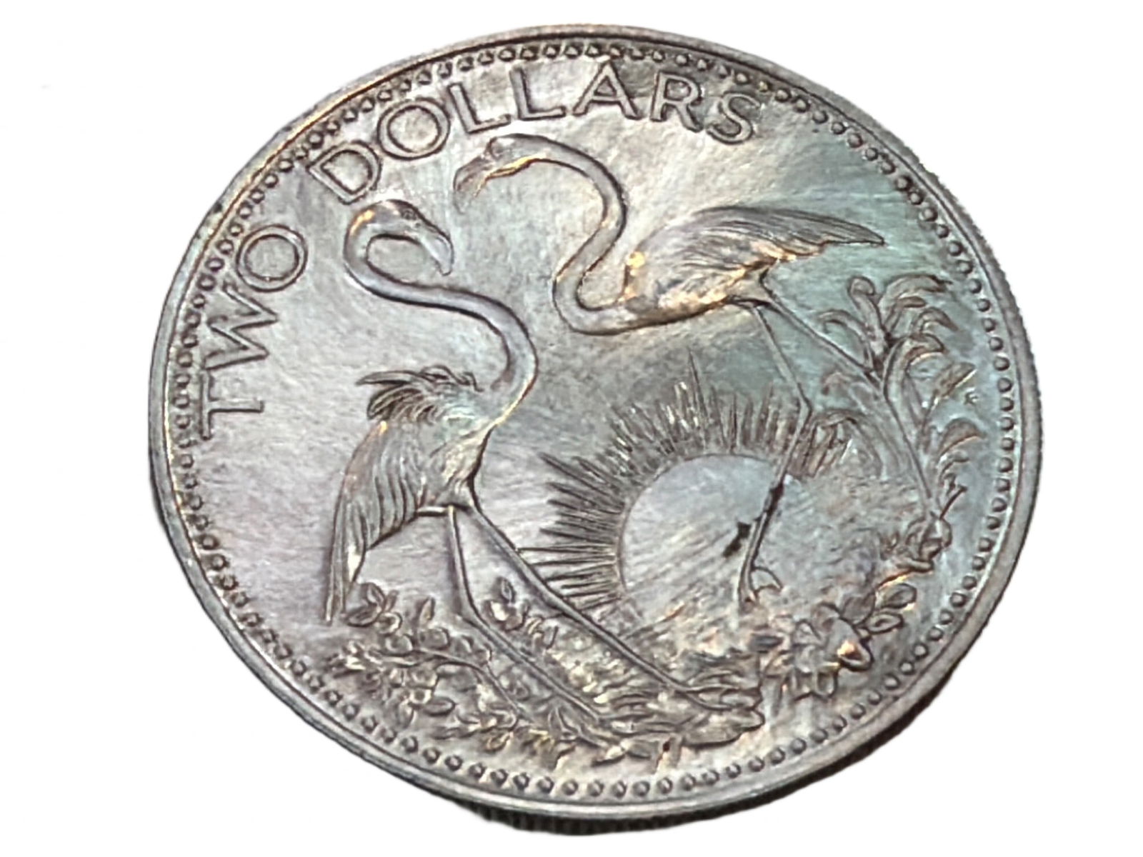 1975 Bahamas Two Dollar Silver Coin with Flamingo and Coat of Arms Design (1 of 3)