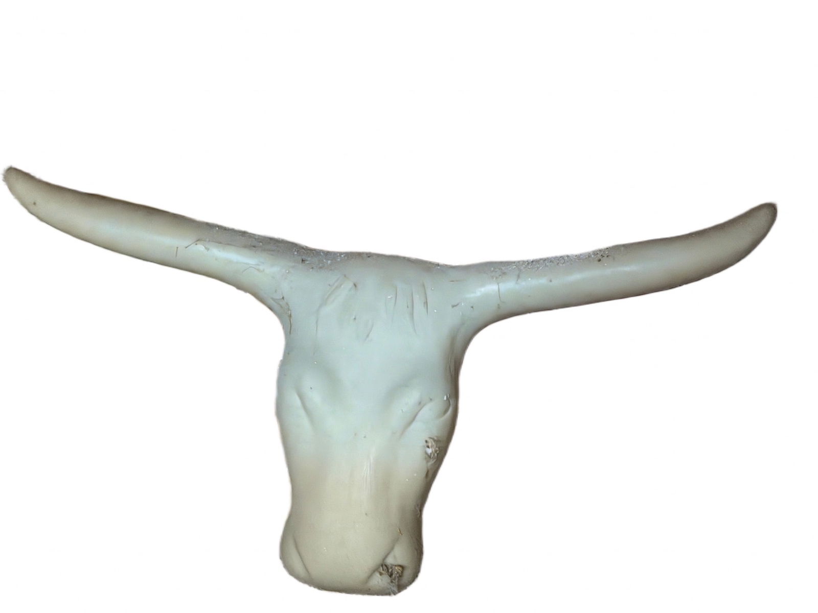 Polyurethane Longhorn Skull Wall Decor (1 of 4)