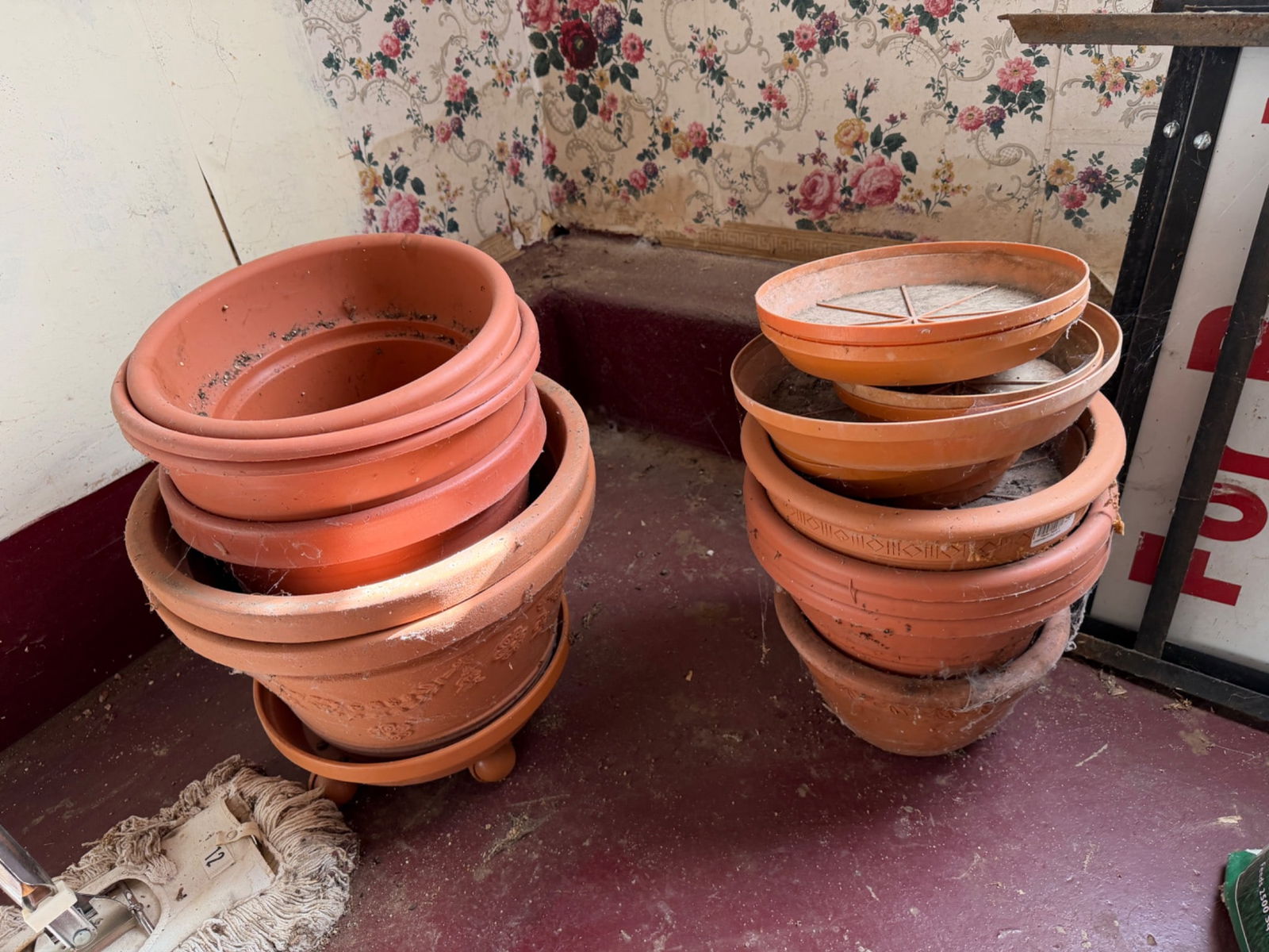 Terracotta and Plastic Plant Pots (1 of 1)