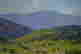 item-136015880=2
