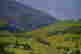 item-136015880=3