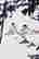 item-136015909=4